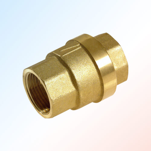 rb-non-return-valves-supplier in Pune